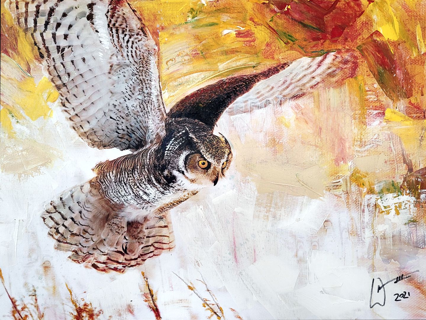 Barred Owl painting by artist, William III